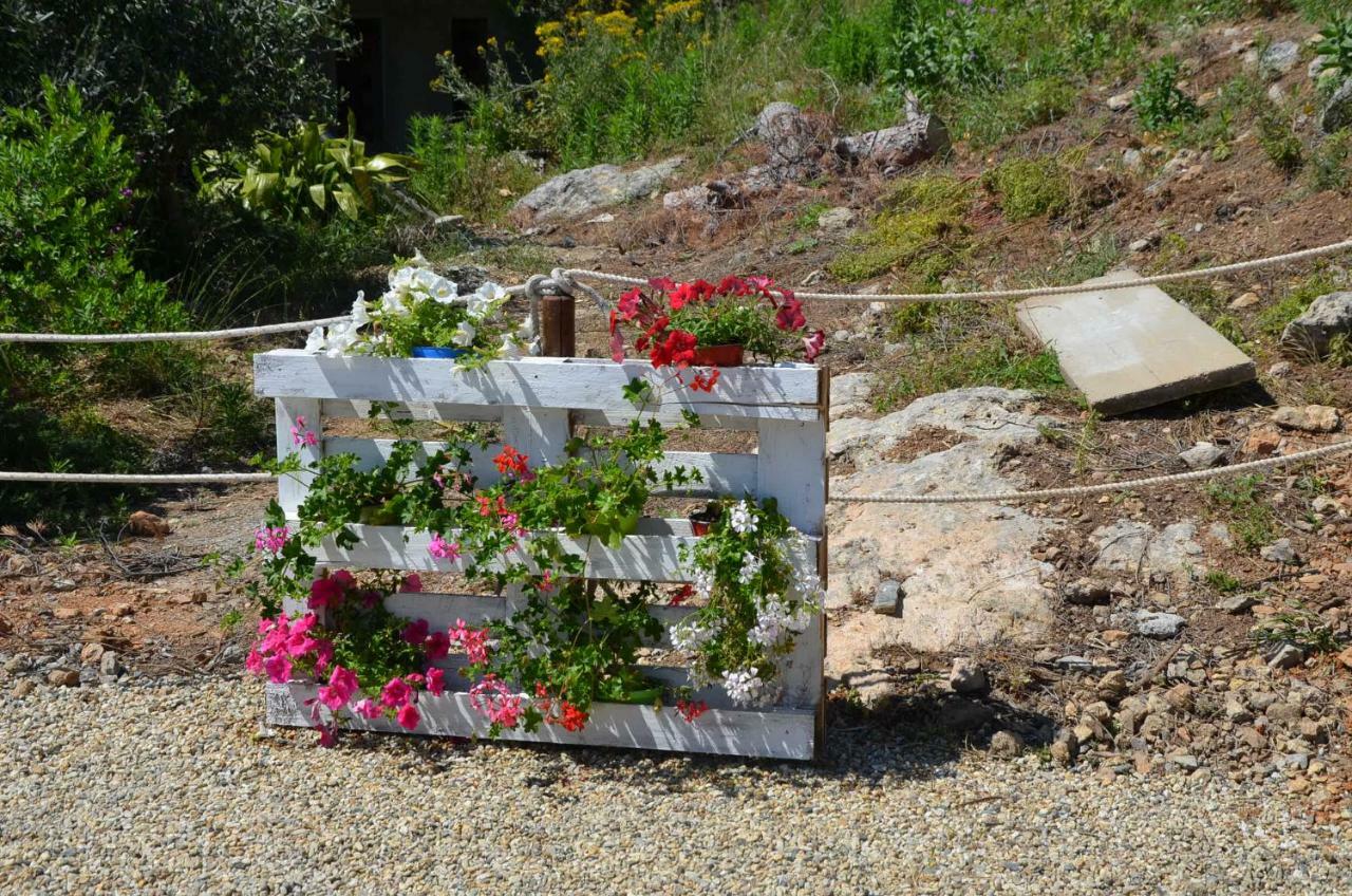 Agriturismo Tendapiccola Ceriale Luaran gambar